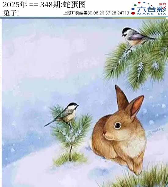 348期正版蛇蛋图[图]