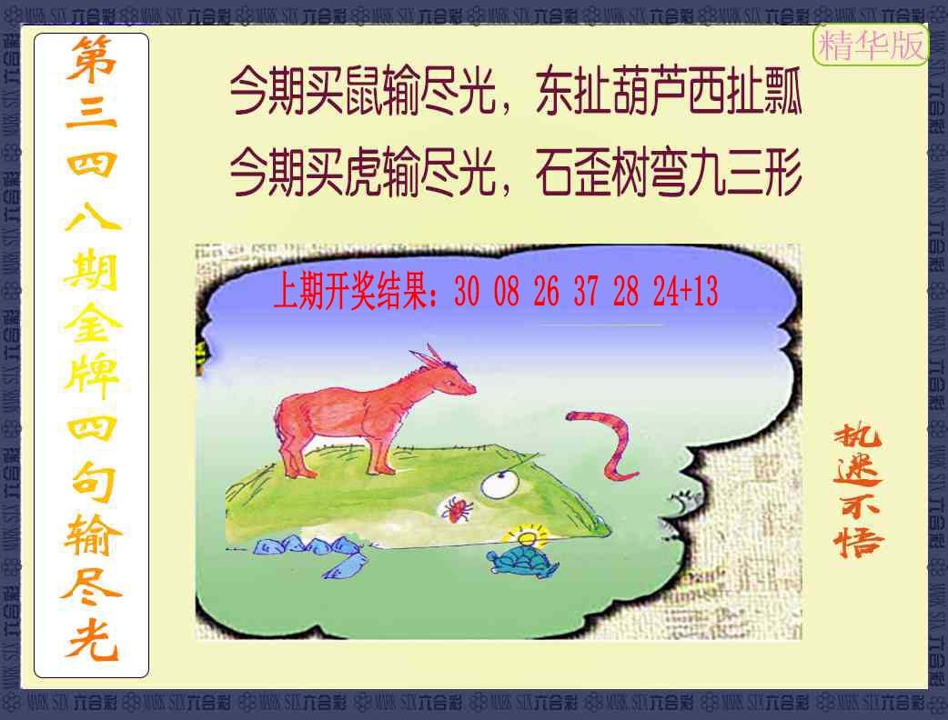 348期金牌四句输尽光[图]