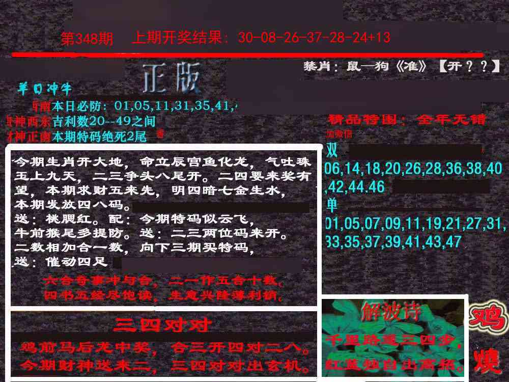 348期新港内幕[图]