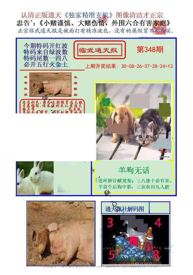 348期临武通天报[图]