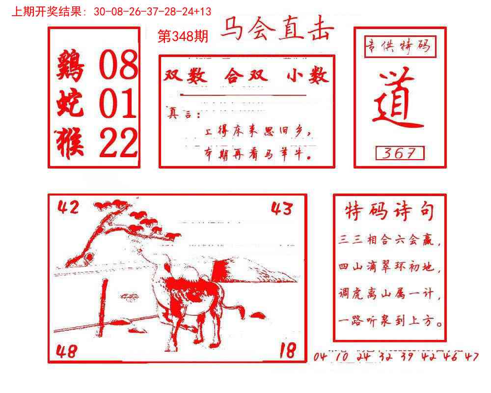 348期马会直击[图]