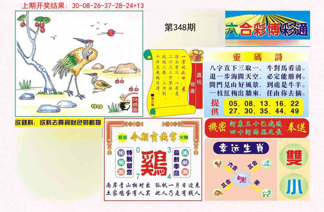 348期博彩通A[图]