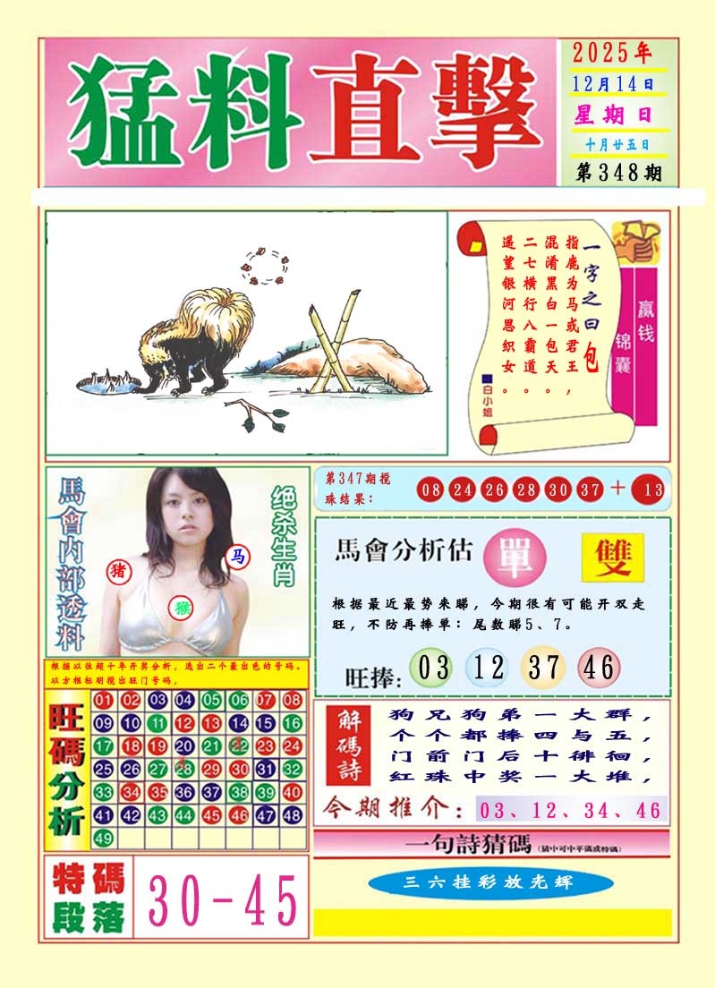 348期猛料直击A[图]