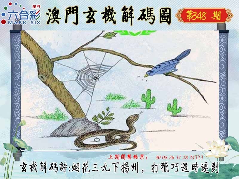 348期玄机解码图[图]