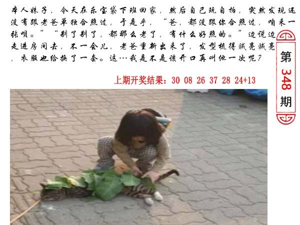 348期澳门生活幽默[图]