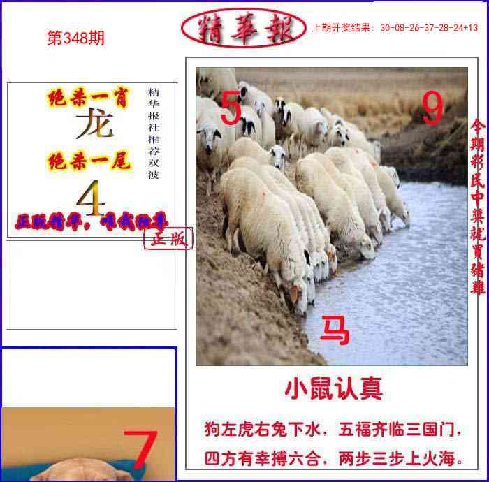 348期新精华报报[图]