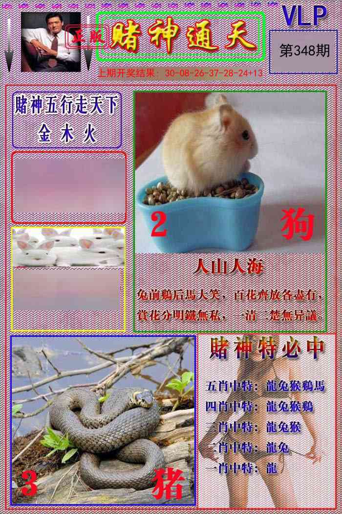 348期赌神通天报[图]