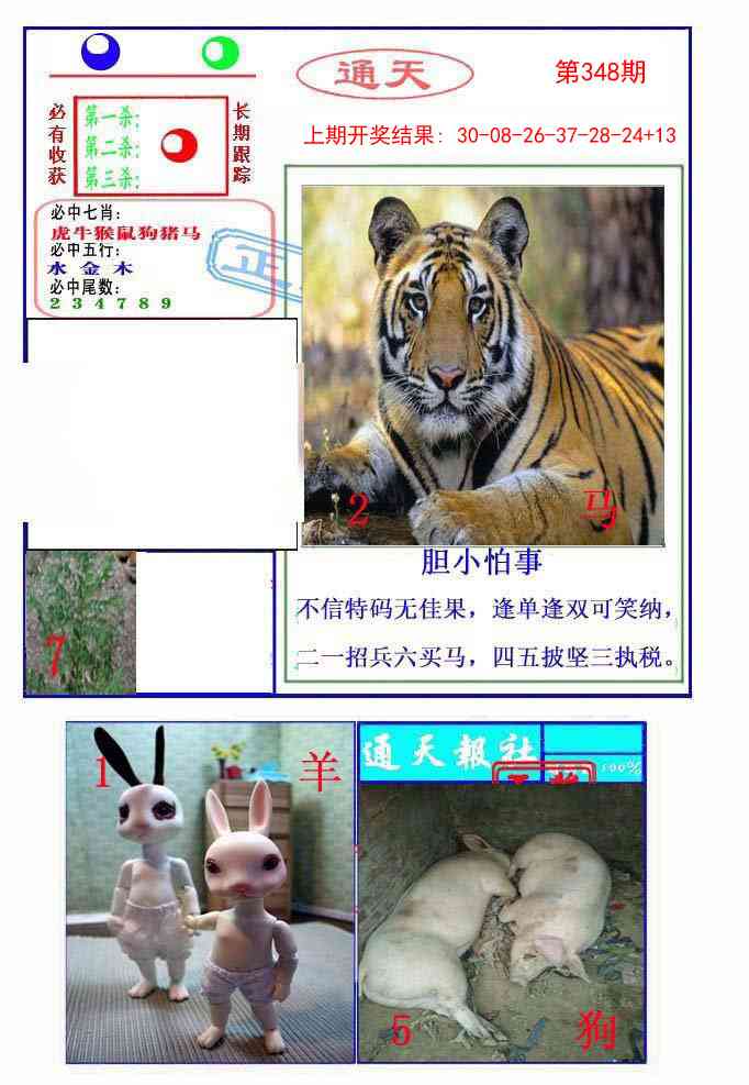 348期通天杀波图2[图]