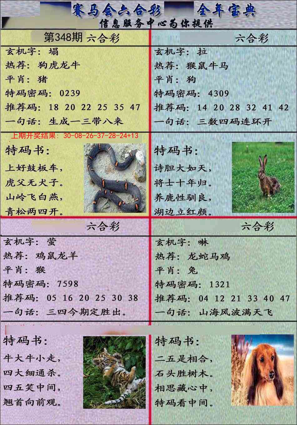 348期宝典报[图]