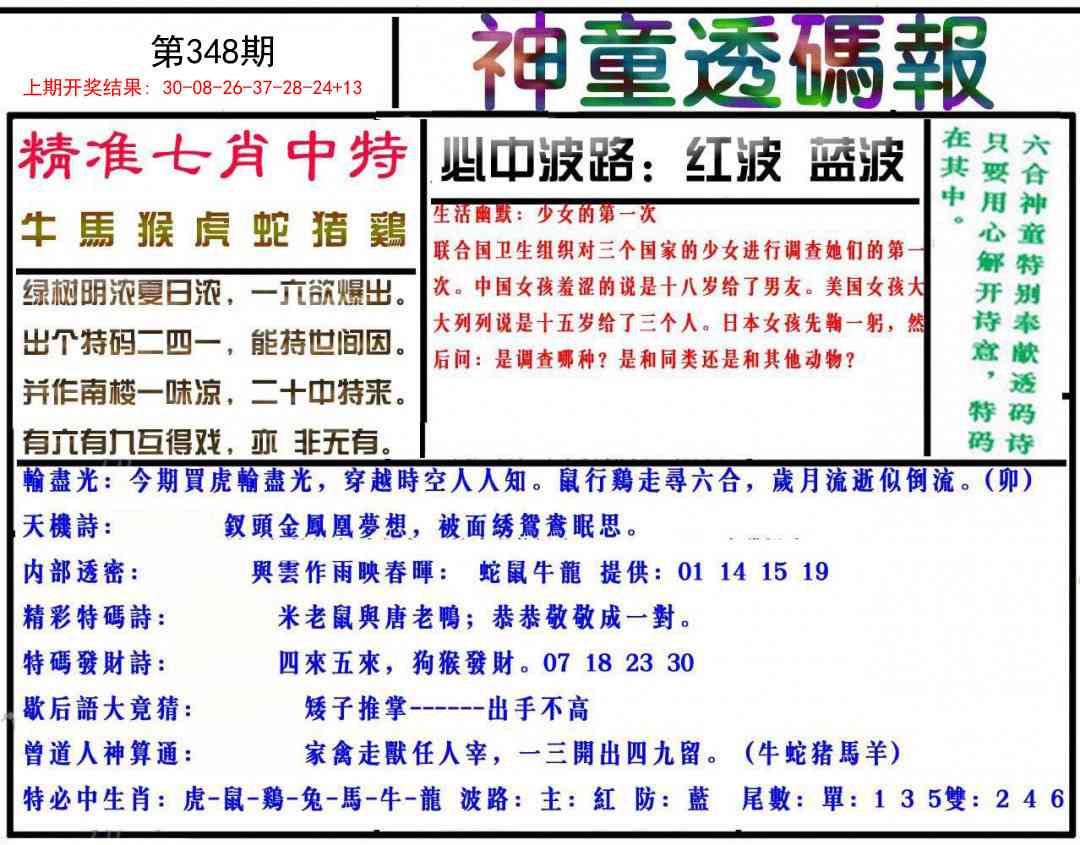 348期神童透码报[图]