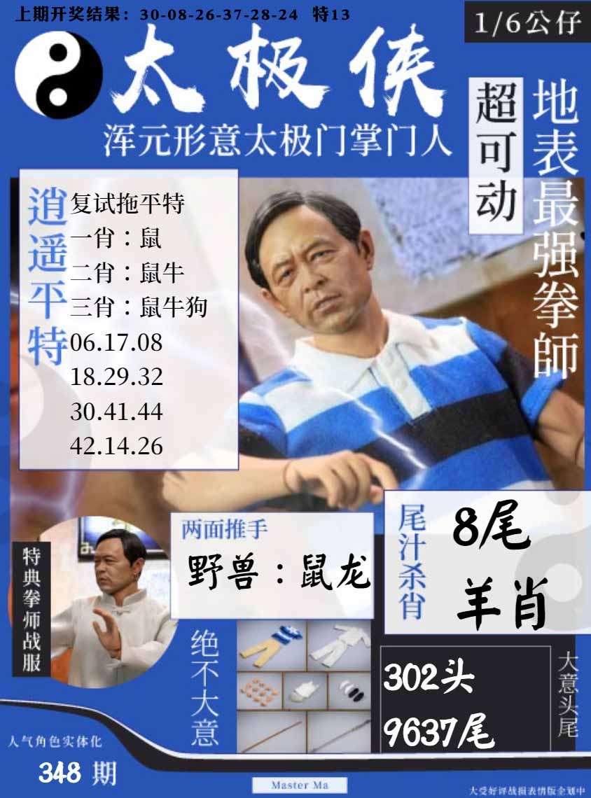 348期太极侠[图]